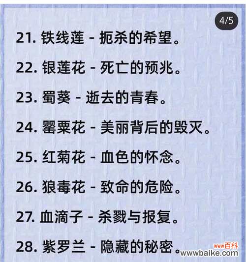 花语先驱在网络用语中是什么意思？