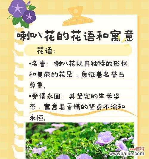 花语先驱在网络用语中是什么意思？