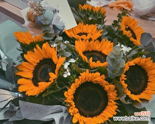 热烈奔赴的花语有哪些？