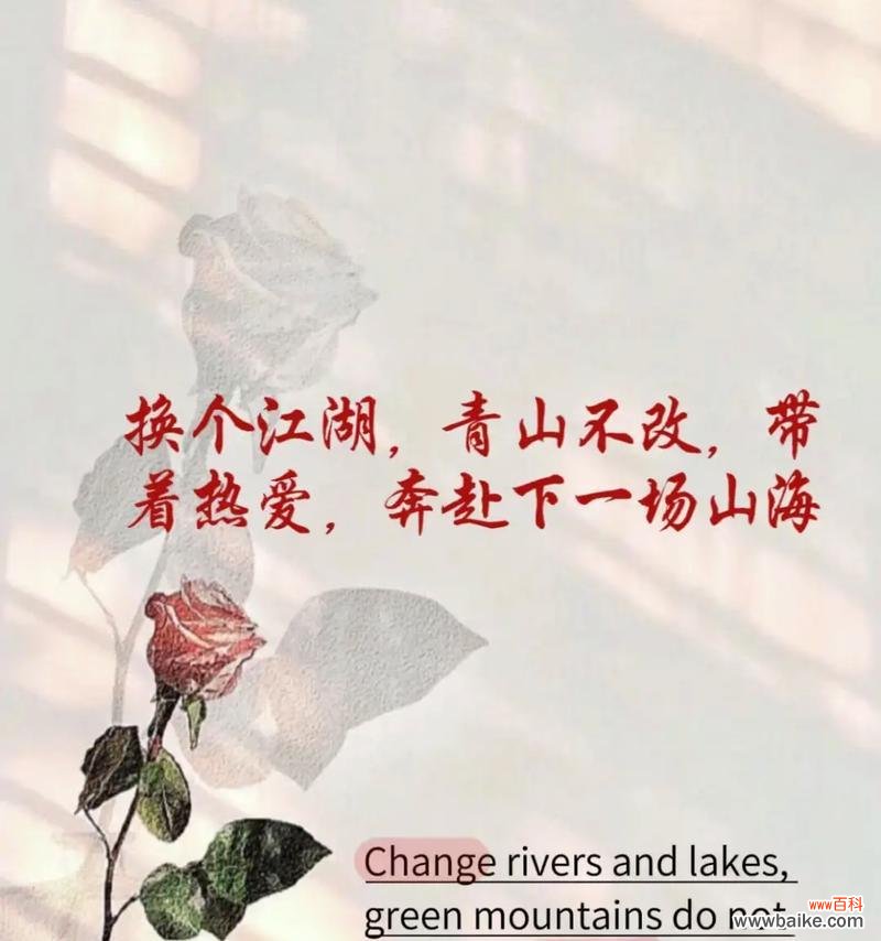 热烈奔赴的花语有哪些？