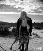 肉色玫瑰传递了哪些情感？