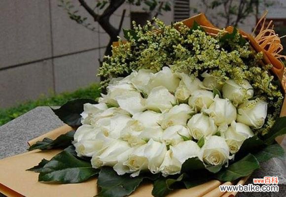 传递爱意的花朵之语 二十一朵白玫瑰的花语