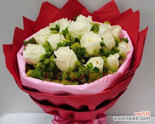 传递爱意的花朵之语 二十一朵白玫瑰的花语