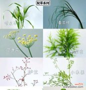 七朵白色洋桔梗的花语是什么？