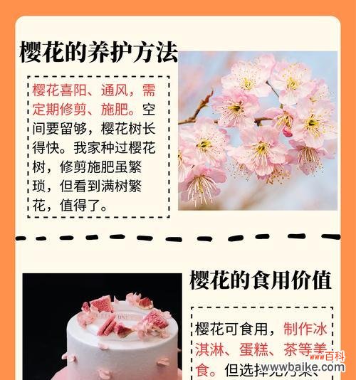 樱花花语的下一句是什么?代表什么?