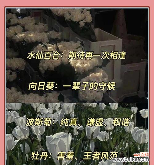 我爱你的花的花语是什么？它表达了怎样的爱意？