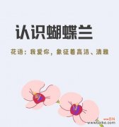 我爱你的花的花语是什么？它表达了怎样的爱意？