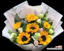 六朵向日葵的花束代表什么？