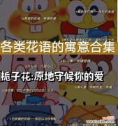 花语的深刻含义是什么呢？花语背后的含义是什么？