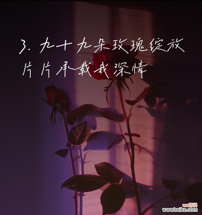 印尼九十九朵玫瑰花代表什么？九十九朵玫瑰的特殊含义是什么？