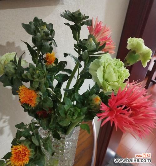 以色彩诠释情感，非洲菊的世界 缤纷非洲菊的花语