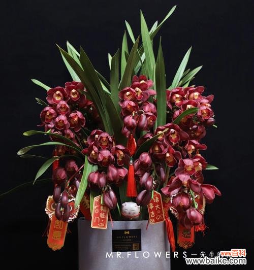 探索蕙兰的深意 蕙兰花语与象征意义