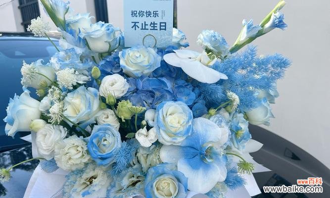 花语星辰具体指代哪些情感?