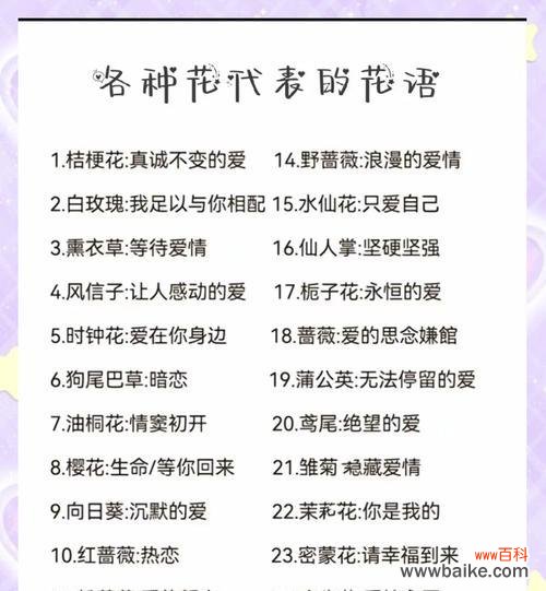 动漫中有哪些经典的花语？