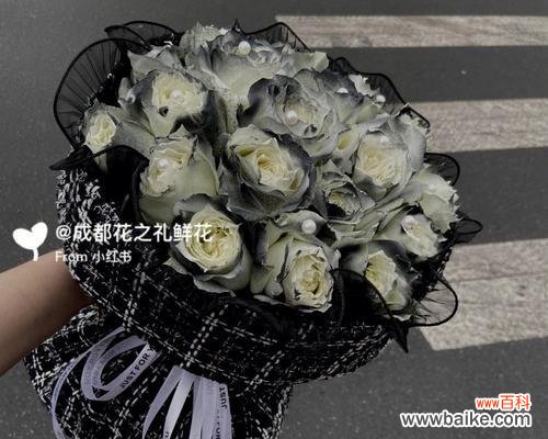 19朵黑骑士玫瑰的花语是什么?黑骑士玫瑰有何寓意?