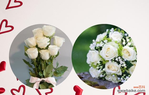 探寻玫瑰花语的奥秘,感受它带来的浪漫和温馨 玫瑰花语之美