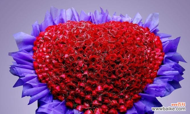 探寻玫瑰花语的奥秘,感受它带来的浪漫和温馨 玫瑰花语之美