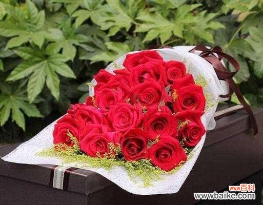 探索不同颜色玫瑰的象征与意义 玫瑰花色的意义