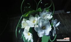 一朵花开 栀子花语的深意——解读花朵的心声