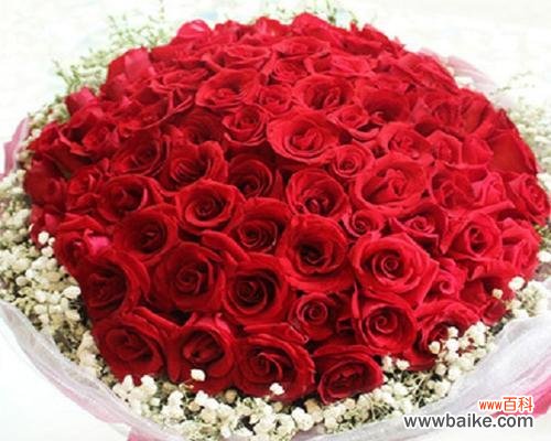 寓意丰富的橄榄花 橄榄花的花语与传说