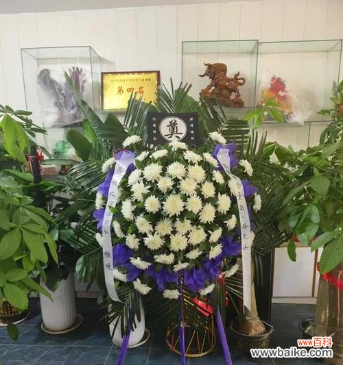 临终前送什么花表达哀思？