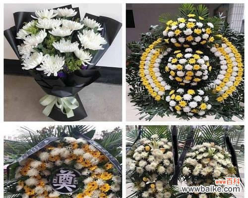 临终前送什么花表达哀思？