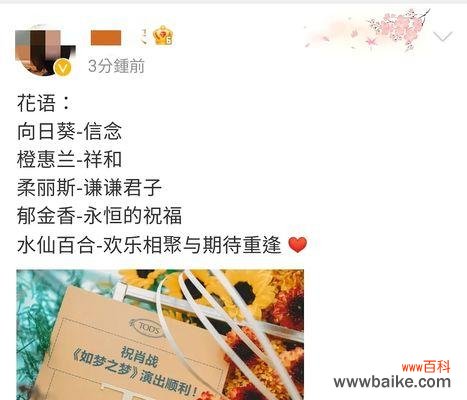 如梦之梦的花语有何深意？它代表了哪种情感？