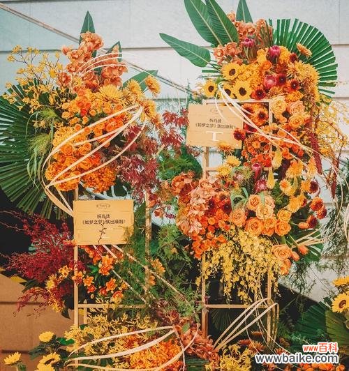 如梦之梦的花语有何深意？它代表了哪种情感？