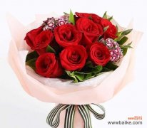 红玫瑰代表爱情 16朵红玫瑰的花语及含义解读