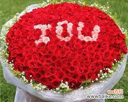 玫瑰花语之深深的爱意 12朵玫瑰代表什么花语