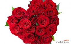 传递真挚情感的粉红玫瑰，花语之美尽在其中 粉红玫瑰的花语