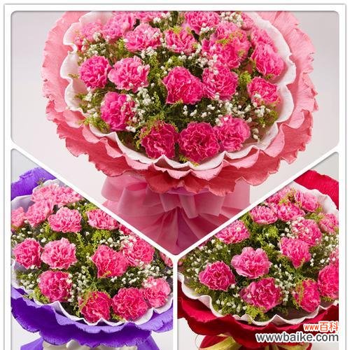 探索粉红康乃馨的深层寓意，传承这份美丽 粉红康乃馨的象征意义及其美丽传承