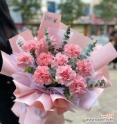 探索粉红康乃馨的深层寓意，传承这份美丽 粉红康乃馨的象征意义及其美丽传承