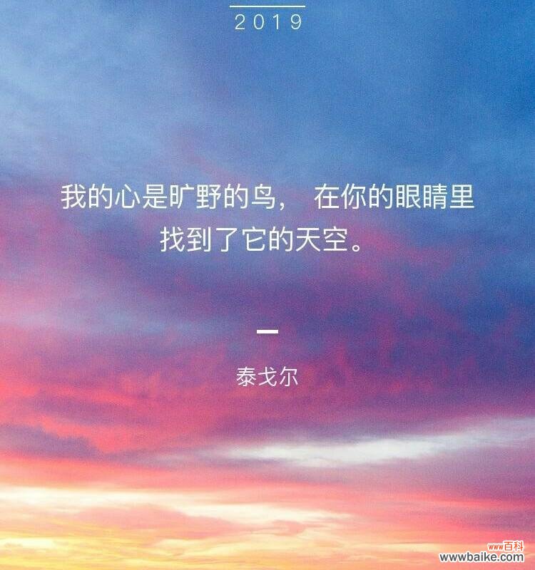 不再期待的花语代表什么？