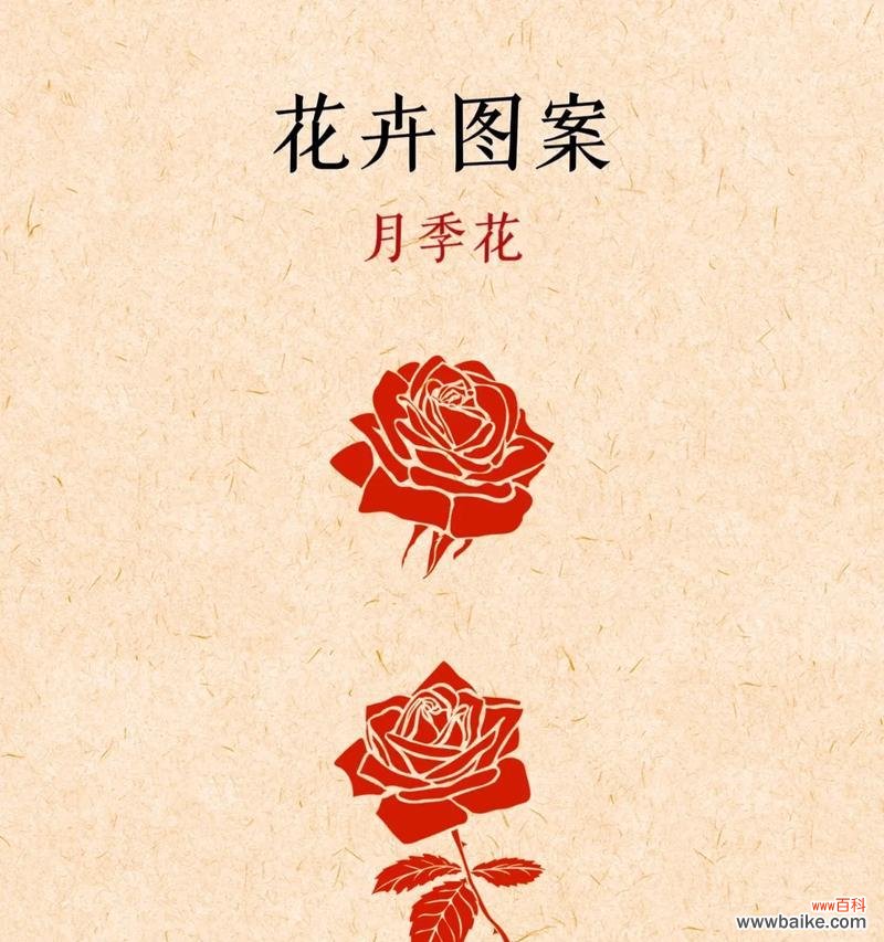 树的花语是否象征奇思妙想？这种花语有何由来？