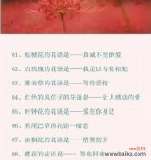 哪种花语能表达朋友间的欣赏？