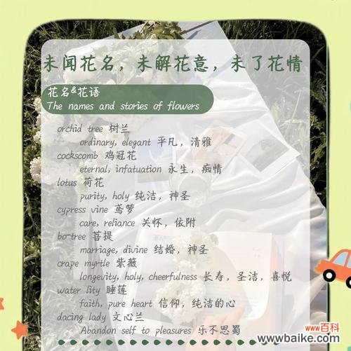 哪种花语表示不易接近?