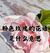 花语外表与内心不符是何意？如何解读这一花语？