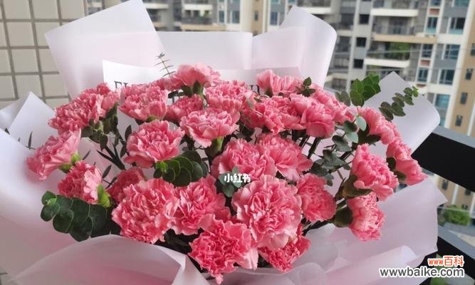 探寻粉康乃馨背后的花语，传递真挚的爱与深深的感激 粉康乃馨的花语