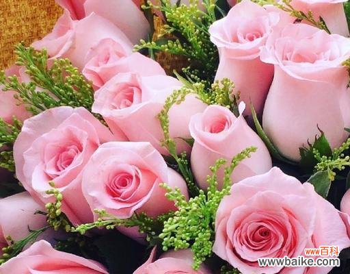 传达爱与关怀的花束——19朵粉玫瑰 19朵粉玫瑰的寓意与表达方式