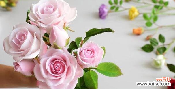 浪漫爱情与温柔优雅的化身——粉玫瑰的故事与寓意 粉玫瑰的象征意义及其美丽传承