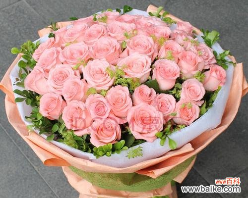 揭示粉玫瑰的隐含寓意与文化象征 粉玫瑰