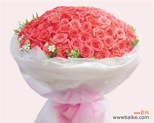 传递爱意的粉色芬芳 粉色玫瑰花的浪漫与温馨