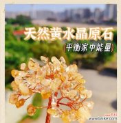 水晶树象征着什么？