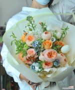 山农小哥玫瑰的花语有何特别？