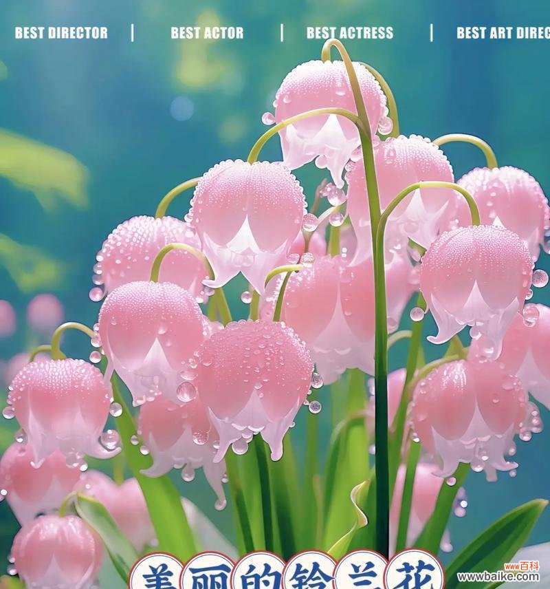 红铃兰花的花语是什么？有何特别含义？