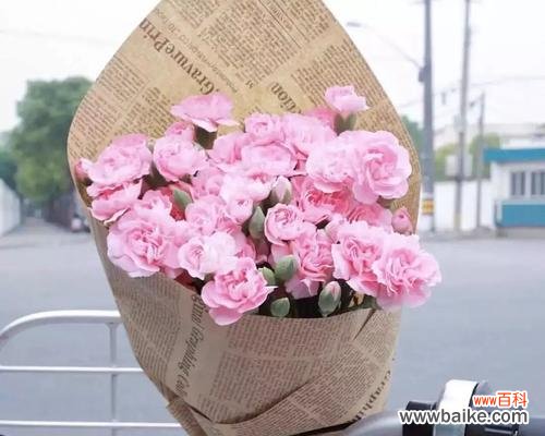 以粉色康乃馨为主题，探索其花语寓意和魅力 康乃馨花语