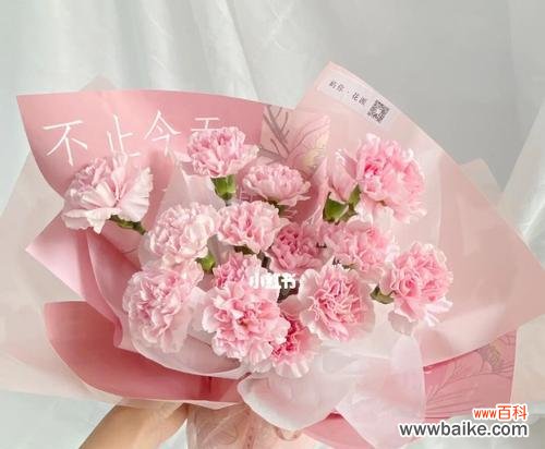 康乃馨的寓意及象征意义探析 粉色康乃馨的浪漫与温暖