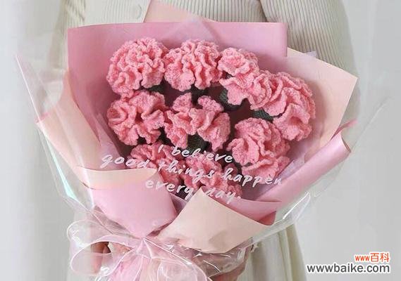 美丽温柔的粉色康乃馨，传递着爱与祝福 粉色康乃馨的花语和寓意