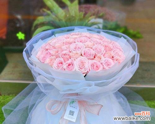 探寻粉色玫瑰背后的浪漫与温柔 11朵粉色玫瑰的意义与象征